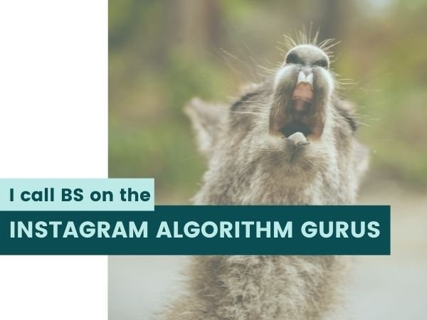 I call BS on the Instagram algorithm ‘gurus’